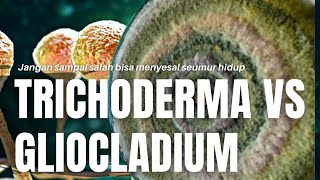 Cara Mudah Membedakan Trichoderma, Petani Jangan Sampai Salah | Edisi Pertanian #video #organic