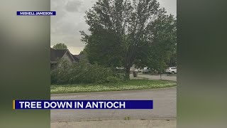 Viewers report trees down, damage following Thursday storms