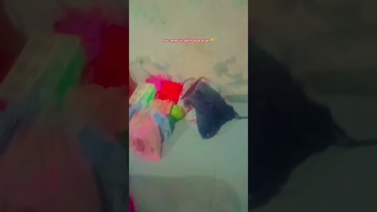 ese es mi gatito 🤣 cuando yo lo cojo 🤣