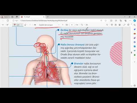 Tənəffüs sistemi dərs izahı. Dekabr qrupu. MİQ və abituriyent hazırlığı. Əlaqə: 055-634-73-41