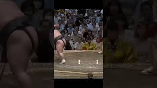 Tamawashi VS Takakeisho Aki Basho 2023 Sumo #sumo #sport #japan #wwe #япония #mma #ufc #сумо #борьба