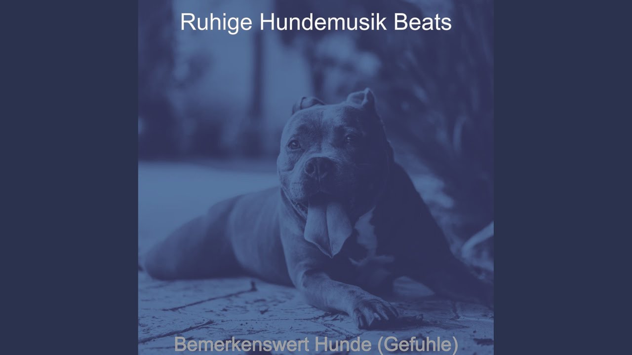 Luxus- - Hunde