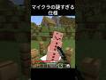 マジで謎すぎ🤔#マイクラ #minecraft