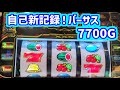 カピバラくん　自己新記録を塗り替えるバーサスリヴァイズ7700G＃