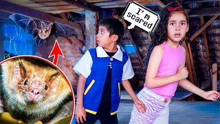 A WILD BAT Broke into OUR HOUSE!! *scary* | Jancy Family