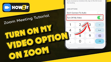 How to turn on my video option on Zoom 2024 | Skill Wave