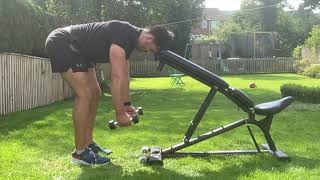 1.5 Rep Head Supported DB Reverse Fly