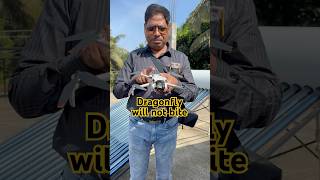How to Pack this DJI Drone correctly l DJI mini 4 pro