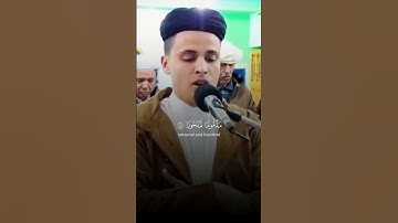 من كان يريد العاجلة - القارئ { عبدالعزيز سحيم }