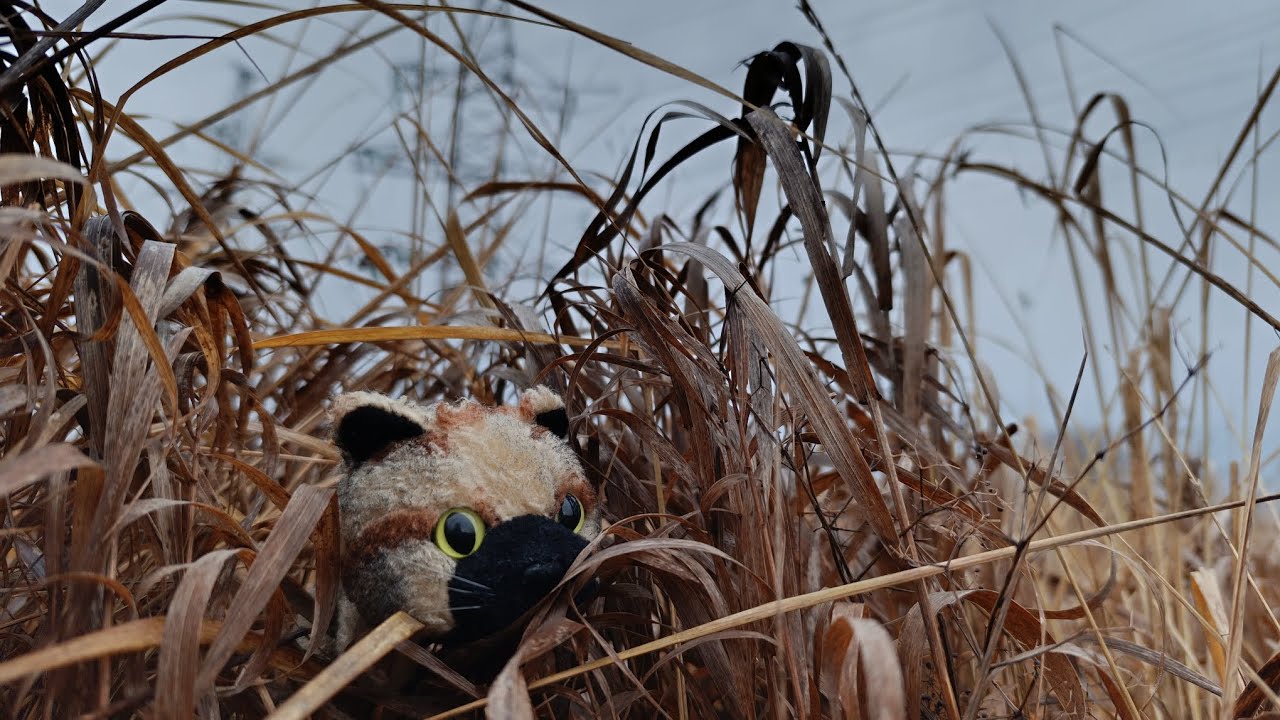 Гуляем в одиночестве\thecatcollection