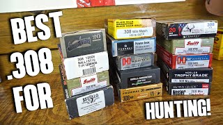 Best .308 Hunting Ammo! (Knock 'Em Down Quick!) screenshot 2