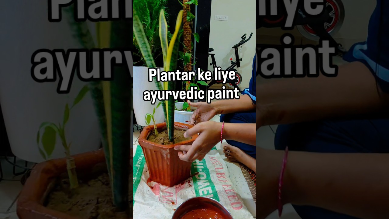 ​ Ayurvedic paint