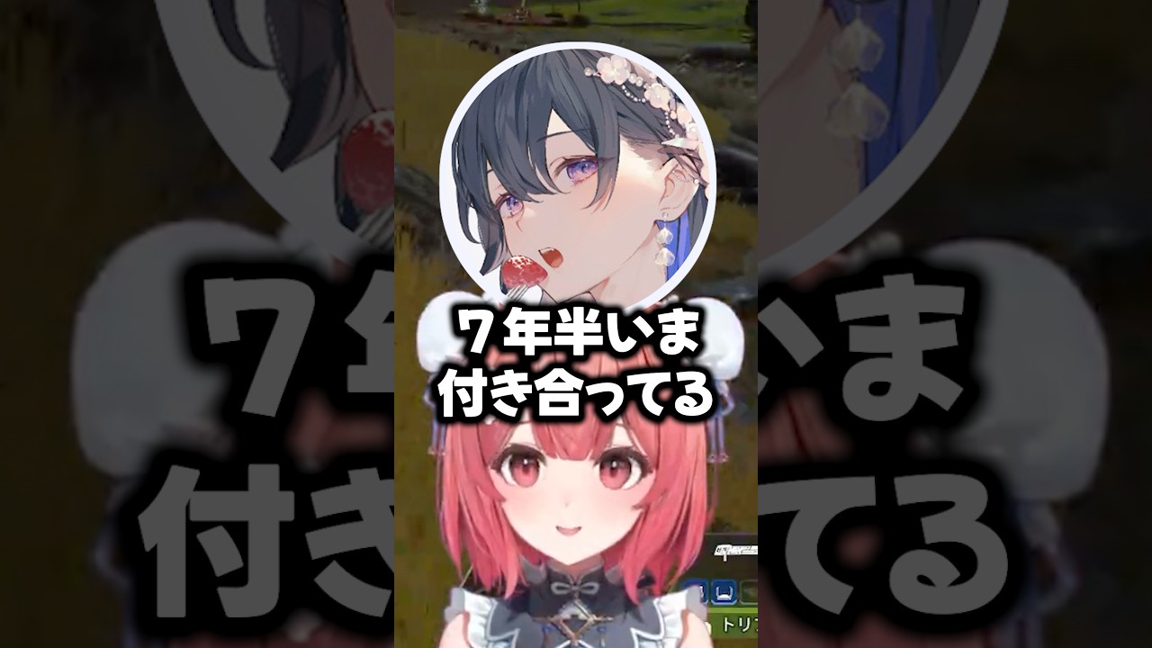 兄弟がいる人は恋人の可能性があることを疑う白雪レイド【夢野あかり/一ノ瀬うるは/白雪レイド/ぶいすぽ切り抜き】#あかりん #切り抜き #ぶいすぽっ