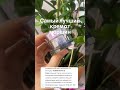 Заказать можете нашем магазине blume.skin#морщины #пигментныепятна #уходзакожей