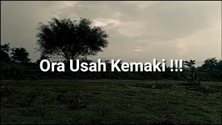 Story WA Bahasa Jawa : Ora Usah Kemaki