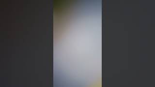 vz jfs