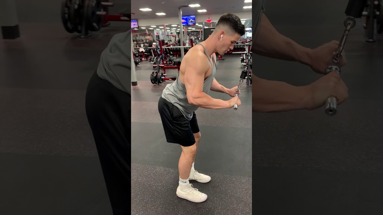 High Cable Straight Bar Tricep Pull Downs - Andrew Walsh Fitness