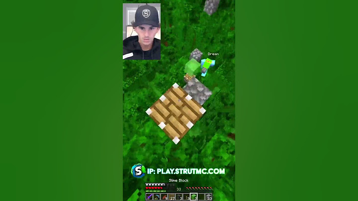 Daquavis vs Dream #minecraft