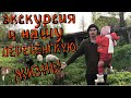 Экскурсия в нашу деревенскую жизнь. Сажаем картошку. Отвечаем на вопросы подписчиков.