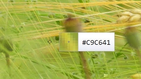 how to get hex color code in 1 sec