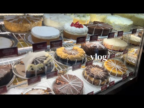 [vlog.]チーズケーキファクトリー,The Ordinaryおすすめ基礎化粧品紹介