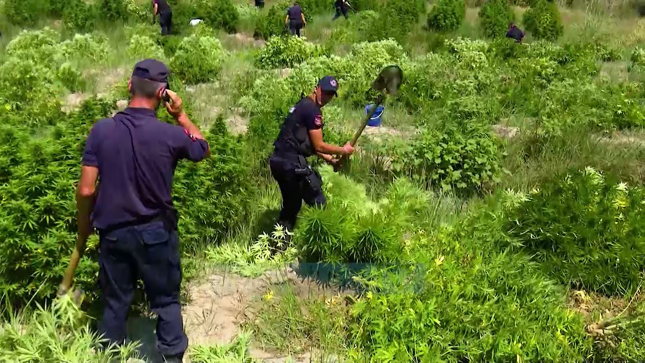 Naten e Mire dhe Paç Fat - Kruja si Lazarati