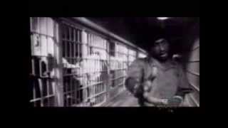 Young Lay, 2Pac, Mac Mall, Ray Luv - Gotta Survive Profile