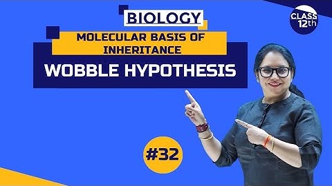 Wobble Hypothesis | Molecular Basis of Inheritance | Class12th | Part 32 | #NEET |#CBSE | #Concept |