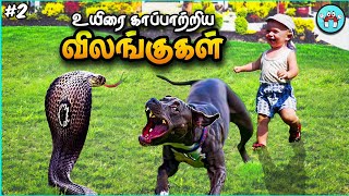 Animals That Saved Lives (தமிழ்) | Pt.2 | The Magnet Facts
