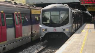 [又到返MLR] 東鐵綫 MLR E116/E76 不載客駛經上水一台 (車長訓練)