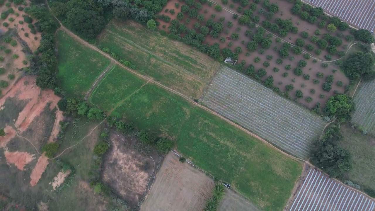 Free to Use(No Copyright)