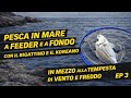 🎣PESCA IN MARE : FORTE VENTO🌬️Ma il FEEDER e la PESCA A FONDO NON TRADISCONO. ORATA, MORMORE & CO!🎣