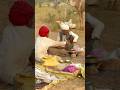 गांव की पुरानी पिढी #rajasthani #village #old #desi #culture #cooking #lifestyle #shorts