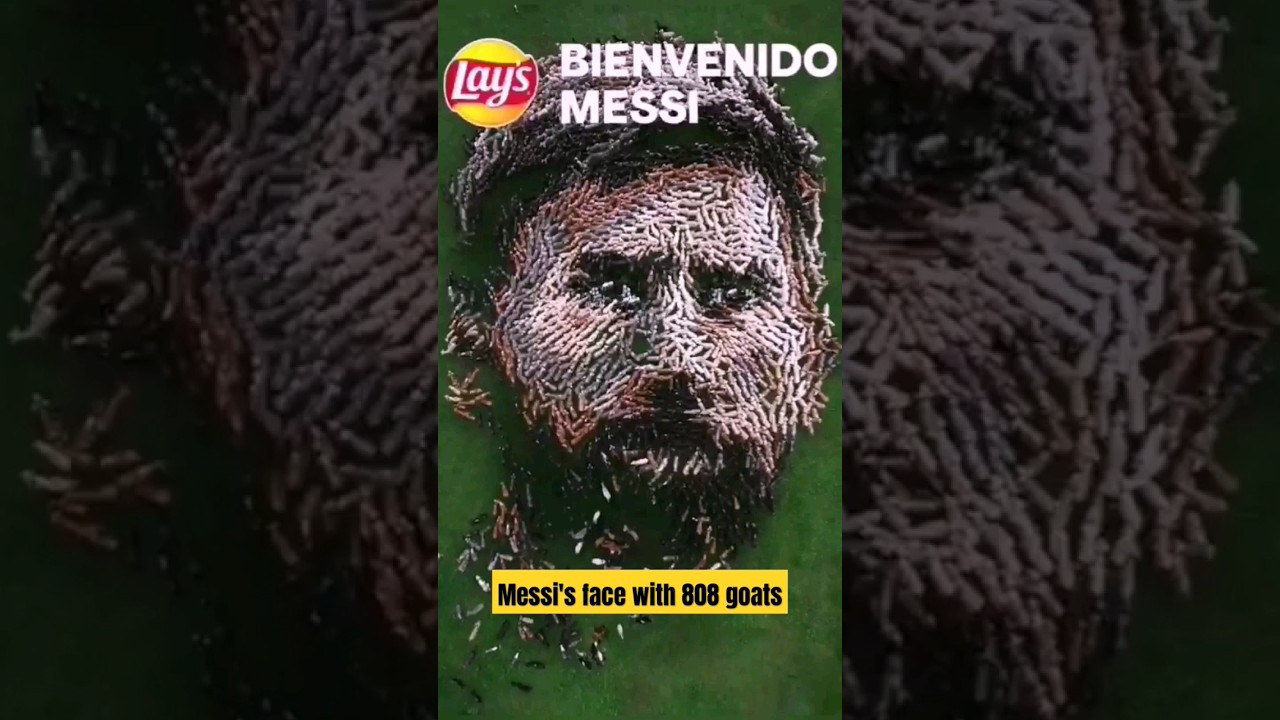 808 ആടുകളെ ഉപയോഗിച്ച് മെസ്സിയുടെ മുഖം || Messi's face with 808 goats 