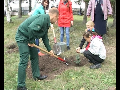 Дендрарий... в Биляр-Озере