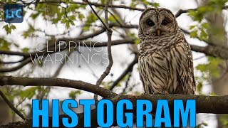 How to Read the Histogram in Lightroom Classic | Exposure & Clipping Explained (Video 9)