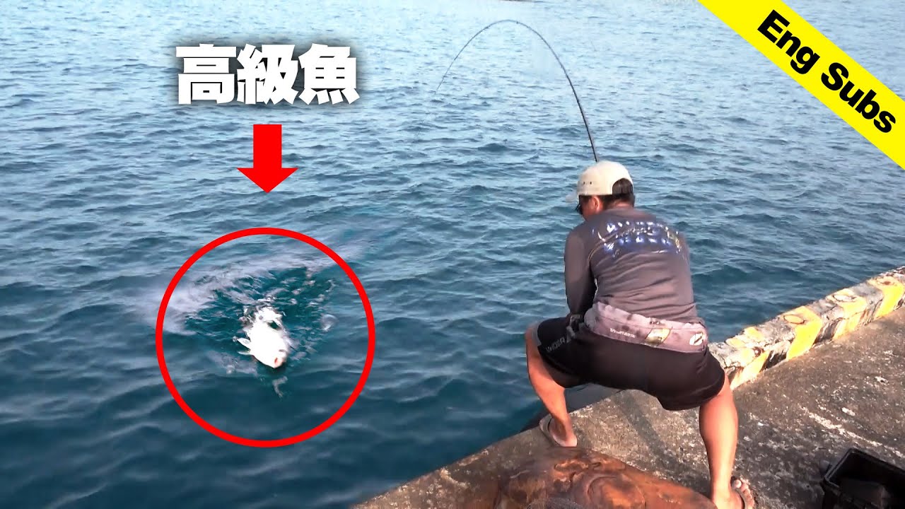 Easy Expensive Fish Catch by Crab? - YouTube