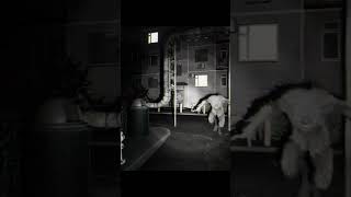Cartier 06 -  Indie Horror - Free Demo On Steam
