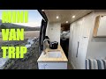 Mini Van Trip - Fly Fishing and Cooking for the FIRST TIME in the Van