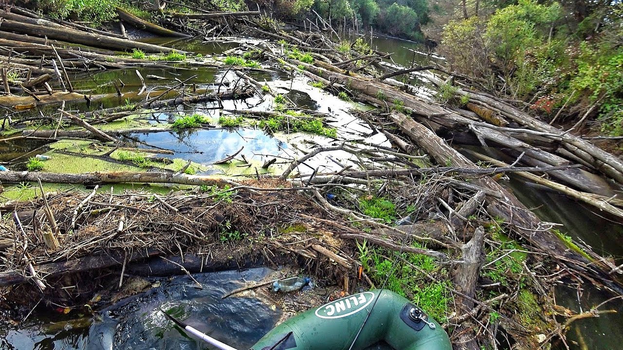 РЫБАЛКА В САМОМ СТРАШНОМ МЕСТЕ! ОПАСНЫЙ СПЛАВ - ИЗ РЫБАЛКИ В СТРАДАНИЯ ...