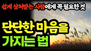 몸과 마음이 편해지는 마음홈트 / 단단한 마음을 가지는 법