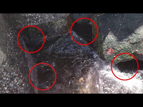 敷石の割れ目は根魚の巣窟だった！！【穴釣り】【根魚釣り】