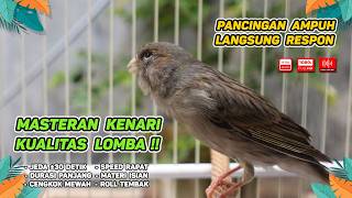Kenari GACOR NGEREK‼️ Masteran Kenari PAUD dan Pancingan Kenari MACET BUNYI dan Betina NGIWIR -429