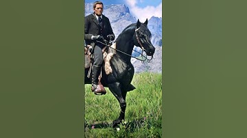 4 SECRET Arabian Horse