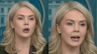 Karoline Leavitt EXPOSES TERRIFYING Truth That STUNNED Chuck Schumer