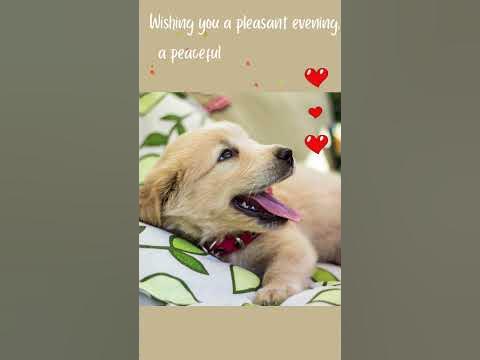 Heals insomnia, anxiety, stress & depression! - YouTube