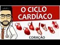 Coração 07 - Ciclo cardíaco (Fisiologia) - Vídeo aula de Sistema circulatório