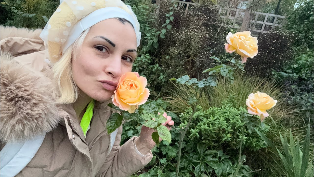 Another Channeling another Day of the Rose