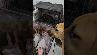 She Been Waiting Almost 3 Weeks To Meet These Babies