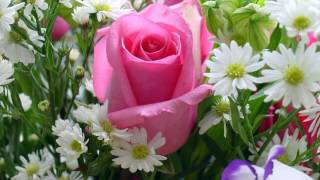 Mai chai fen tam taen mai dai _ตั๊กแตน ชลดา